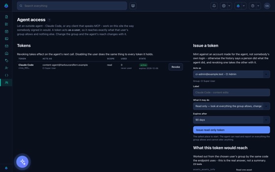 Before you issue: every tool that token will be able to call, worked out from the group